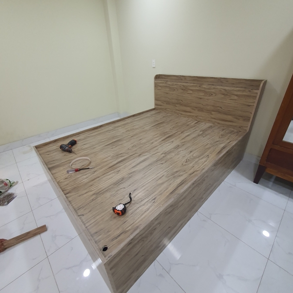 GIƯỜNG NHỰA VINCOPRO 1.6M X 2M