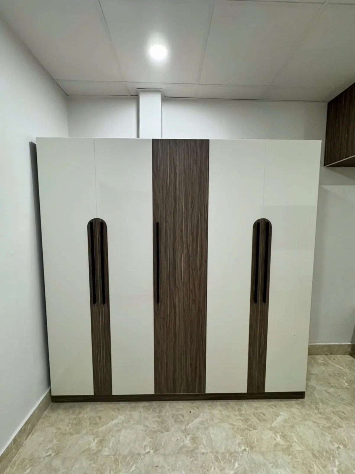 tủ áo nhựa ecoplast kịch trần - hình minh họa 2