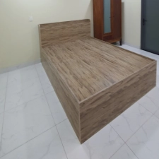 GIƯỜNG NHỰA VINCOPRO 1.6M X 2M